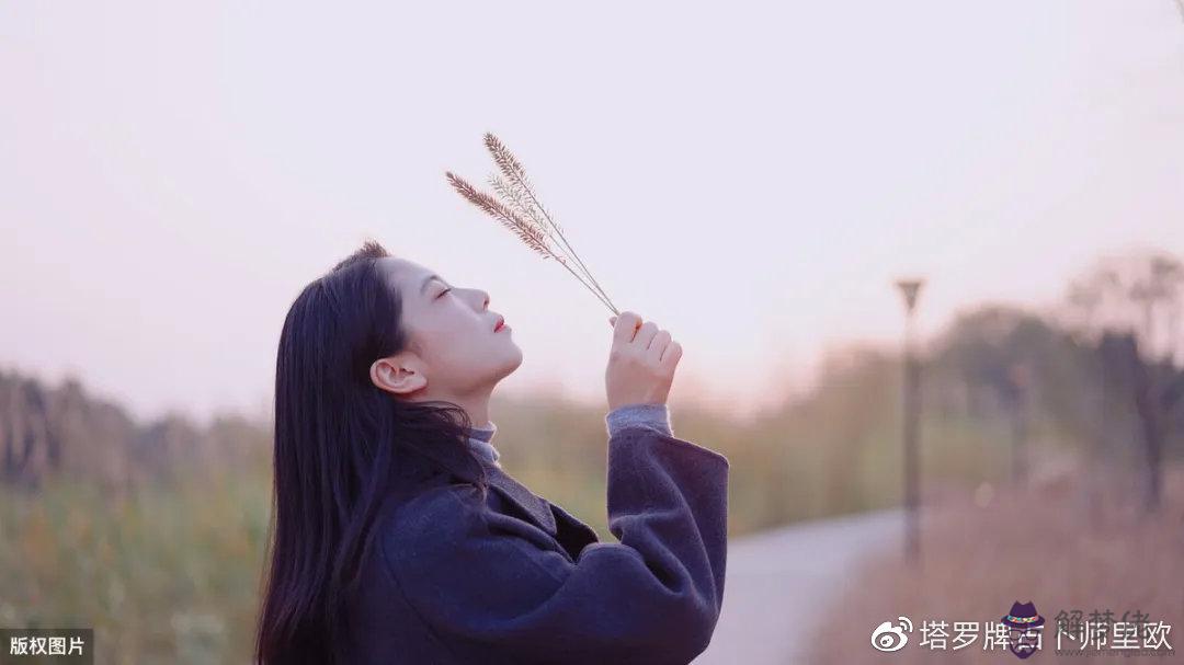 八字算命能算出一個人將來的伴侶，那麼結婚的那個...