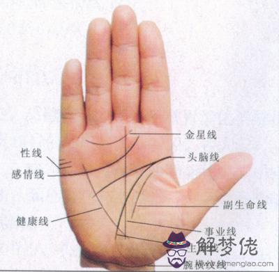 手相圖解：手相算命圖解-算命幫我看手相-指迷算命