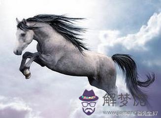 屬馬今年多大：查一下屬馬的2017年是多大年齡