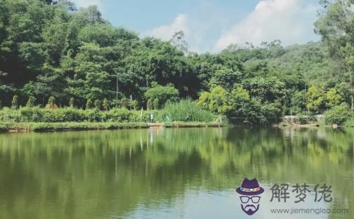 辛亥日柱大貴的八字:人的生辰八字是什麼