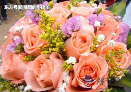 什麼屬相的兩口子最好:夫妻都屬兔,生什麼屬相的孩子好