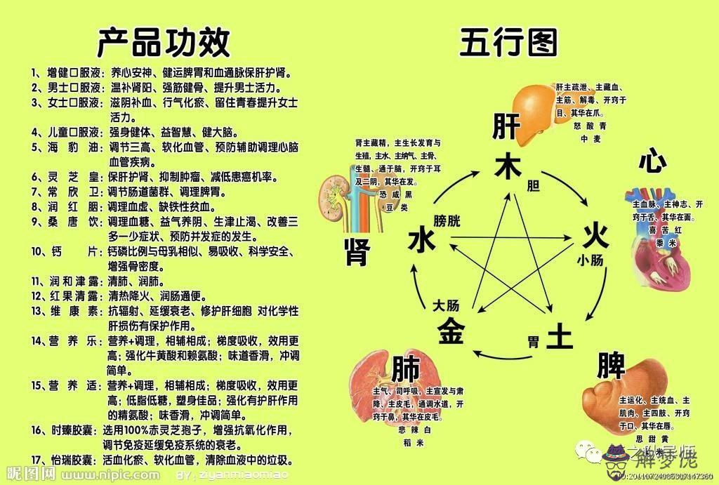 金木水火土相生相克表:求十二生肖(五行)相生相克表
