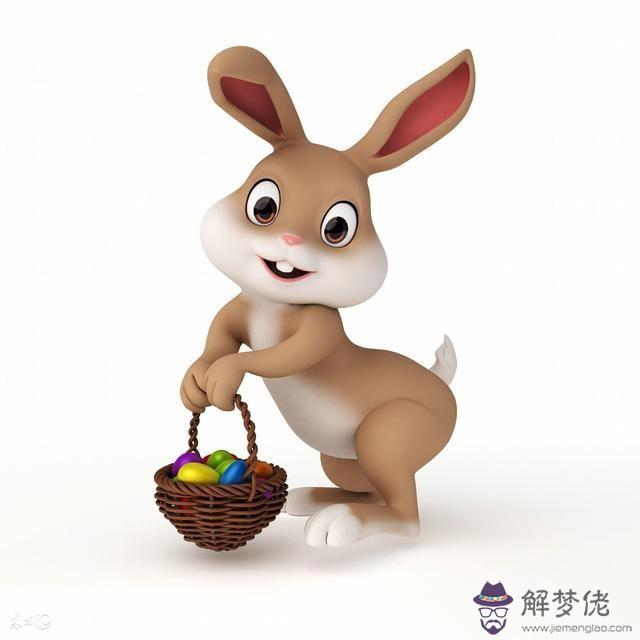 十兔九苦是真的嗎:兔子求大幫助