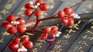 順夸人倒罵人:順它會飛,倒能吃,請問這是什麼