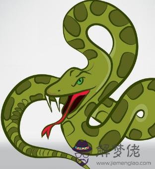 屬蛇的人今年的婚姻和財運怎麼樣:屬蛇的人今年財運怎麼樣