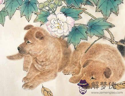 47歲屬什麼生肖配對:47歲屬什麼生肖