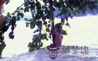 1998年屬什麼:1998年的屬什麼?