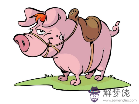 1983年屬豬的是什麼命:1983年出生的是什麼命