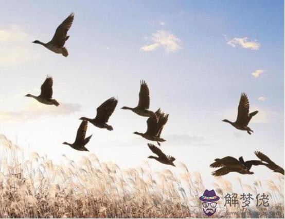 測你這輩子幾次婚姻：心理測試：想知道自己這輩子會有幾次婚姻