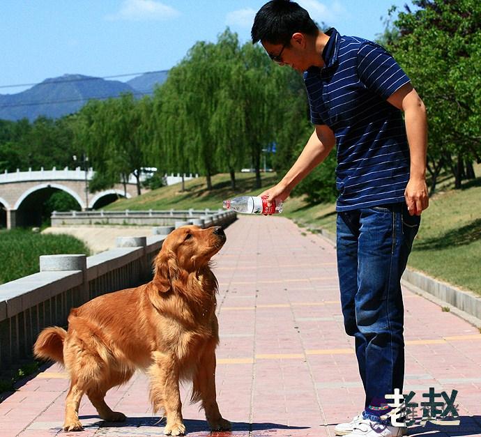 1970年屬狗是什麼命:1988年屬龍五行是什麼,五行缺什麼?