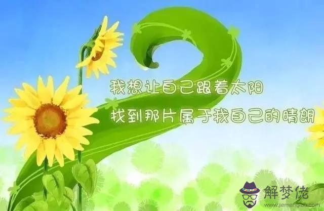 簡短有格調的句子:類似于“你若不離不棄,我必生死相依”有格調的唯美句子有哪些?