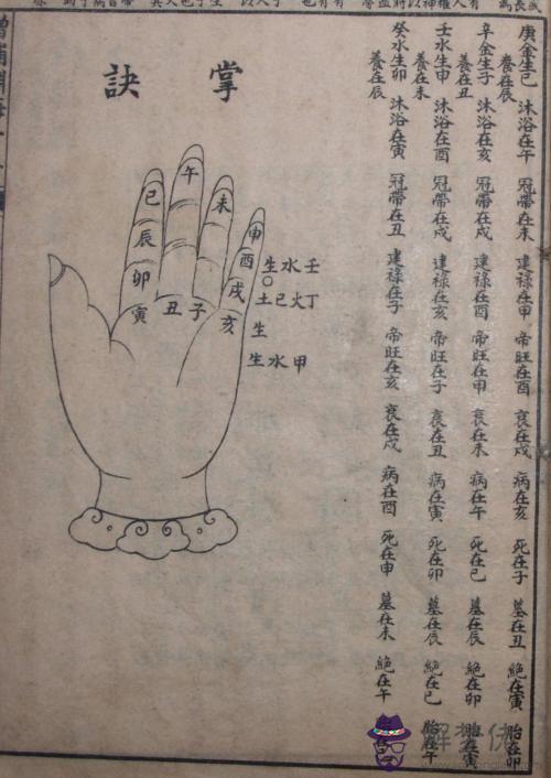 十二生肖的歲數表:十二生肖年齡對照表