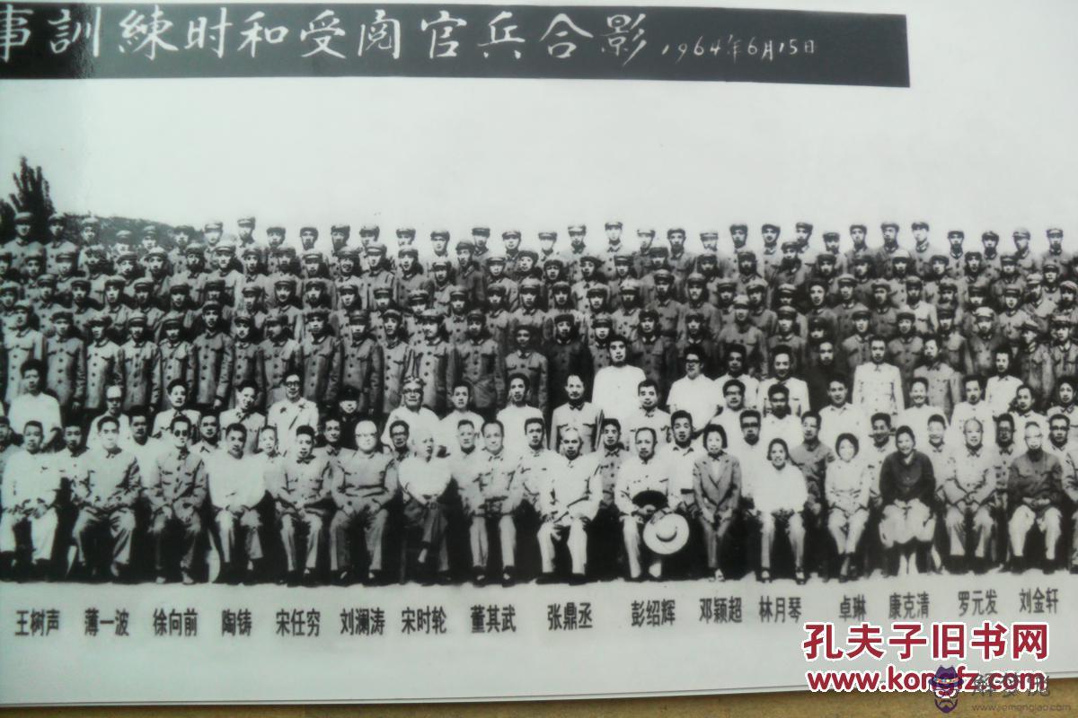 1964年屬什麼:1964年屬什麼生肖?