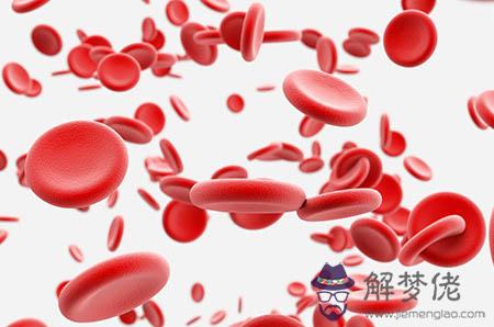 屬鼠的今年運勢是不是很喪:屬鼠的今年運勢?