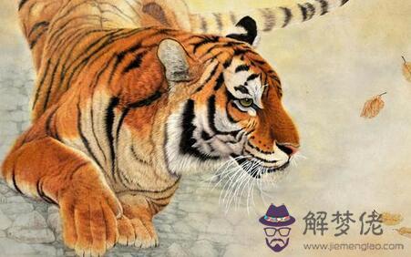 屬虎幾出生最苦:屬虎一月份半夜生的人是不是命很苦