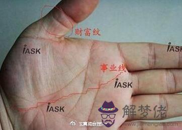 男人最命苦的三種生肖:十二生肖命苦的動物?