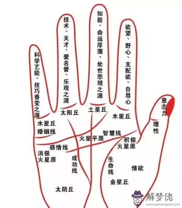 什麼叫二婚線:浙江閥門企業選擇什麼網站招聘?