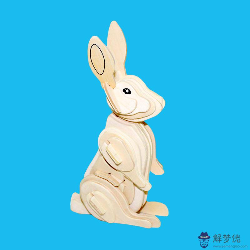 兔子跟什麼生肖最配對:屬兔的能和哪些屬相配對?