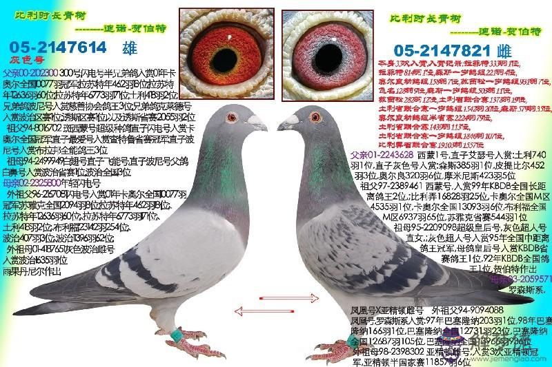 08年屬什麼生肖:2008年屬什麼生肖?