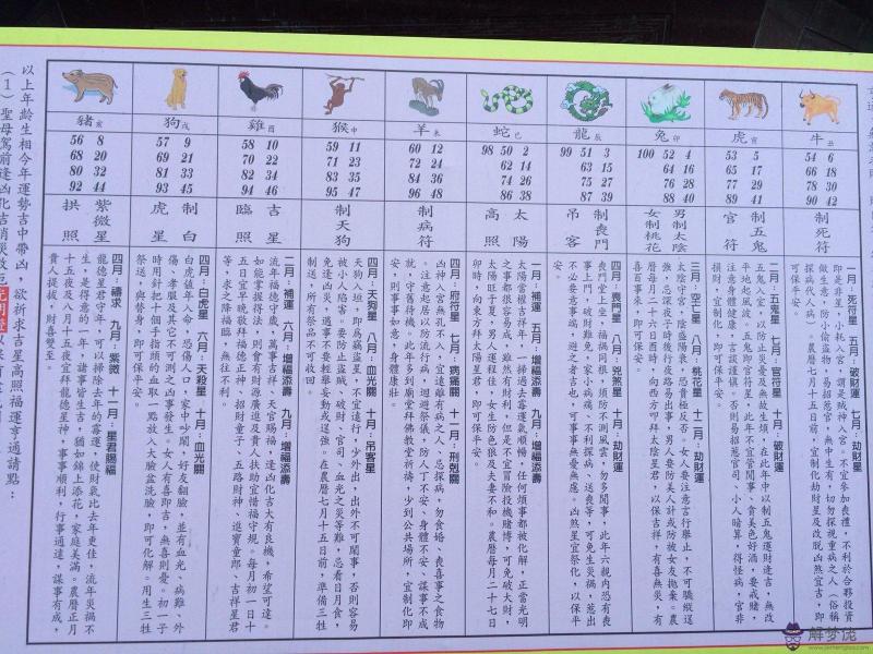 屬馬的幾月出生最好:屬馬生在幾月最好
