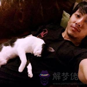 92猴95豬八字:92年屬猴和95年屬豬,生辰八字能在一起嗎