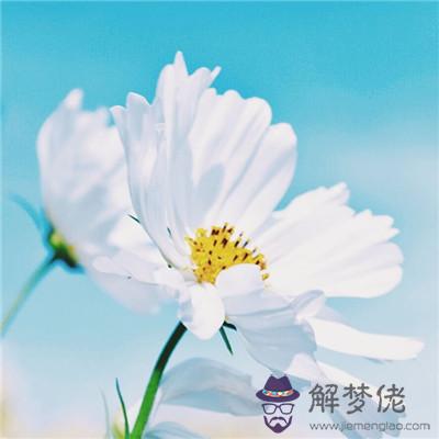女人吉祥好運微信名字:取一個吉利一點的微信名字