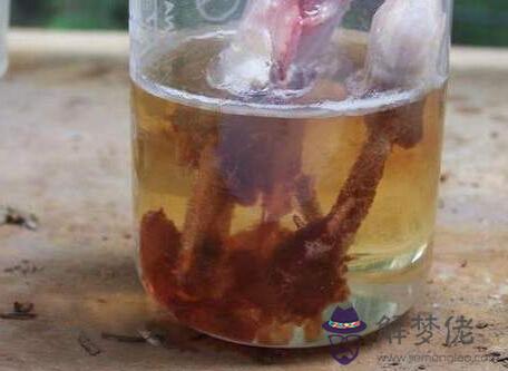 夢見水是什麼意思:做夢夢到水了是什麼意思?