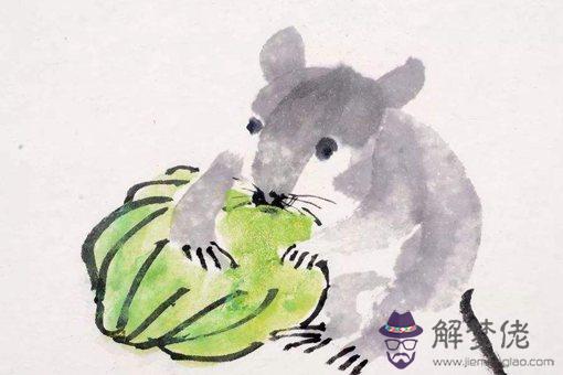 鼠年為什麼是災年:庚子鼠年,為何在人們心中形成了是災年的象征?