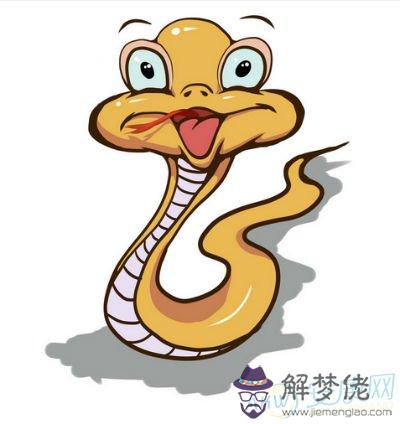 屬蛇的和什麼屬相最配和什麼不合:屬蛇的和什麼屬相最配,屬蛇的配什麼生肖最好