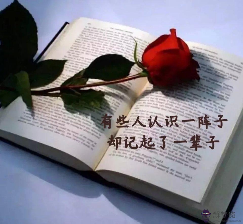 2020年最火的的句子:2020最勵志的有什麼?
