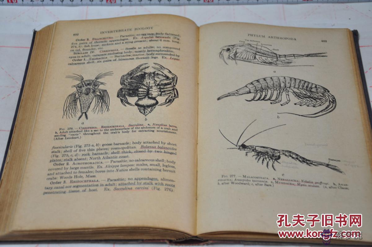 1933年屬什麼生肖:1933年六十甲子是什麼年