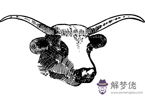 2021年屬牛是什麼命:什麼是年!我屬牛的。就是要在2021年是我的年嗎?