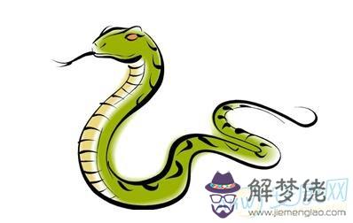 33歲屬什麼生肖:33歲屬什麼?