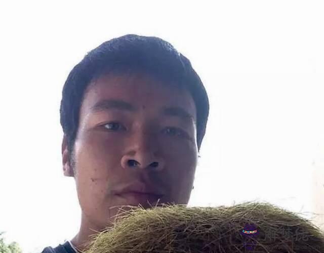 屬豬和屬猴的合不合:屬猴的和屬豬的合婚嗎?