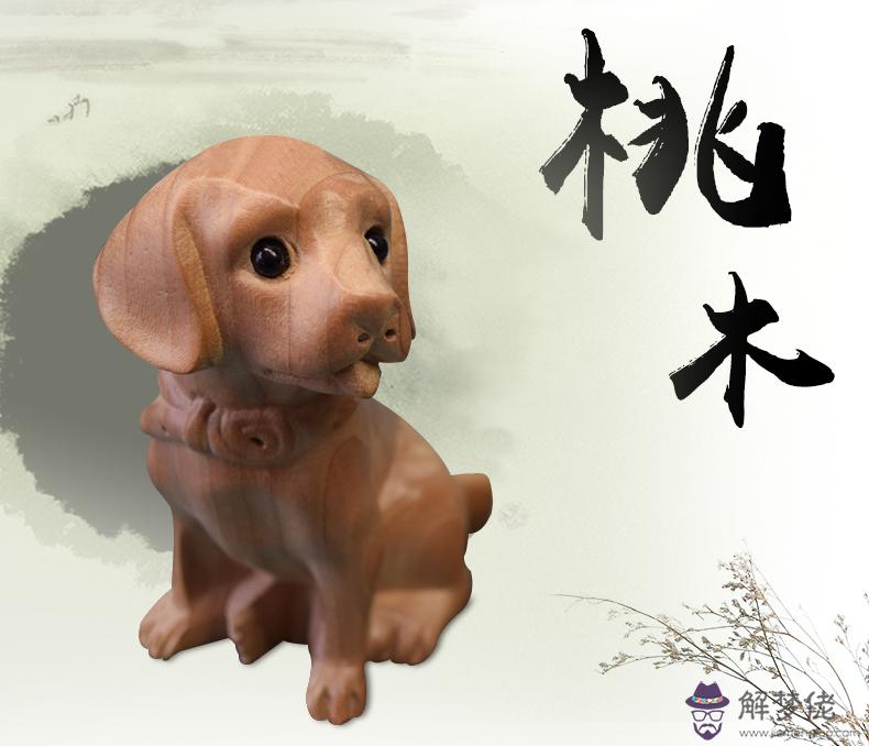 屬豬和屬猴的合不合:屬猴和屬豬合不合