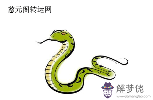 屬蛇未來5年運勢走向是吉是兇:2019年屬蛇人的全年運勢