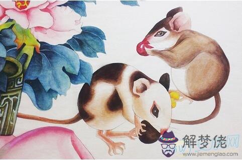 鼠配什麼生肖最好:屬鼠的和什麼屬相最合適