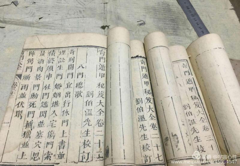 預言難過豬鼠年:1996年屬鼠的人與95年豬