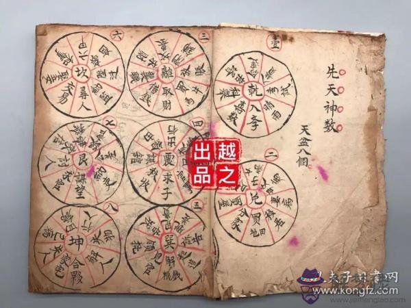 每日搖一卦免費:每天搖一卦