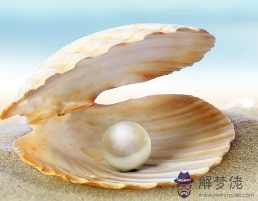 海中金命是什麼意思:海中金命是什麼意思