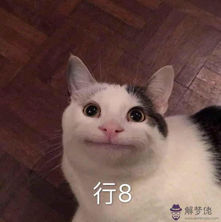 沙雕又可愛的句子:描寫沙雕的句子有什麼