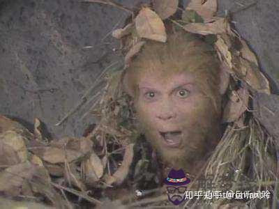 疫情到底什麼時候結束:黑龍江省雞西市疫情什麼時候結束什麼時候能回去?
