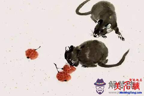 屬鼠寓意好的小名:屬鼠的開公司起什麼名字好