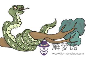 屬蛇的今年多大年齡2020:屬蛇的今年多大