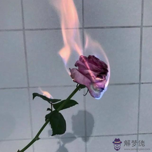 測你婚后是什麼命:測試自己屬于什麼命(金木水火土)