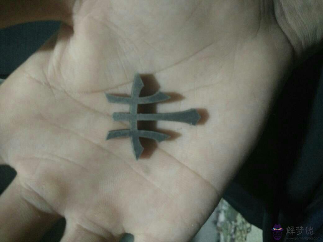 斷掌是什麼意思:斷掌是什麼意思?