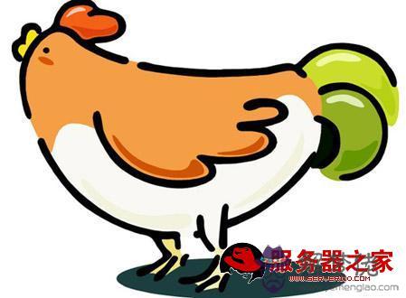 生肖雞和什麼生肖配:屬雞和什麼屬相相克