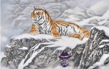 屬虎的今年佩戴什麼東西好:屬虎的人適合佩戴什麼
