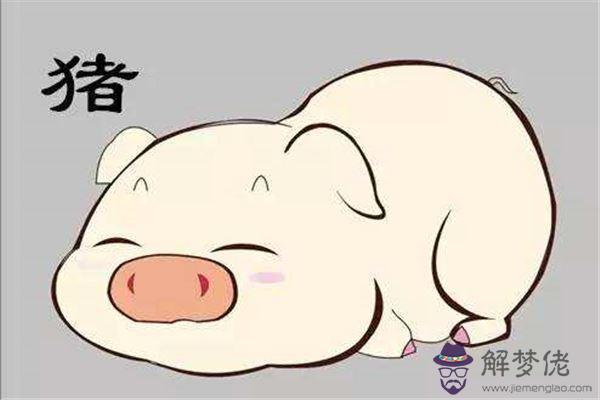 屬豬和屬猴的合不合相配嗎:屬猴的和屬豬的真的不和相嗎