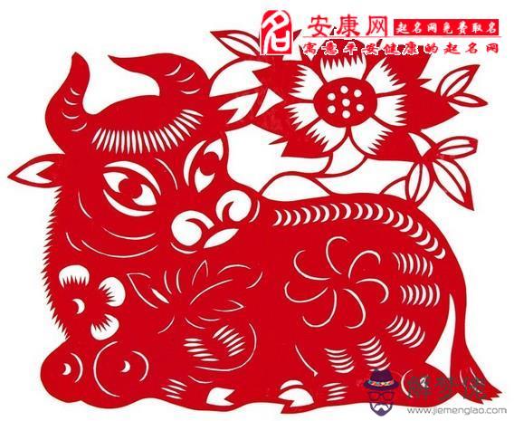 屬牛的今年多大:屬牛的今年多大
